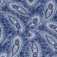 midnight paisley