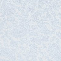 light blue paisley