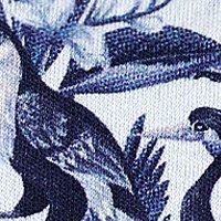 indigo birds